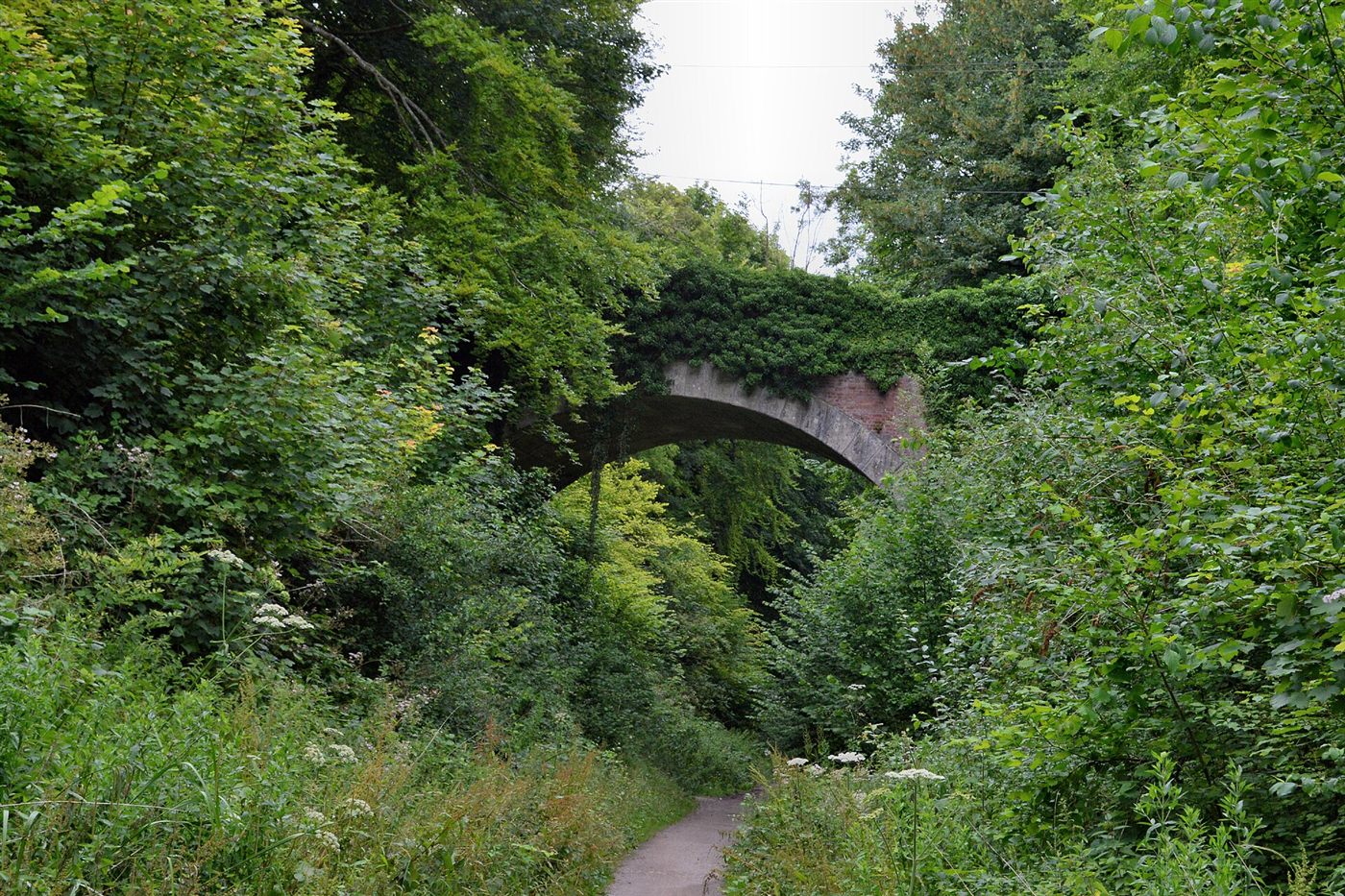 A countryside trail in Hampshire