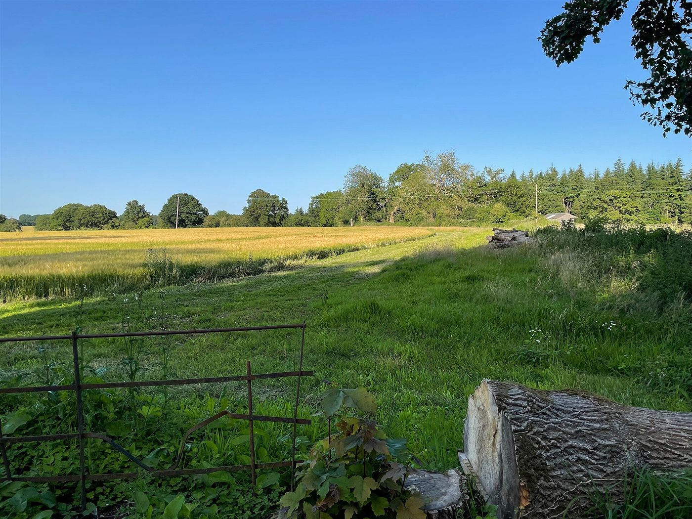 Fields by Steventon church